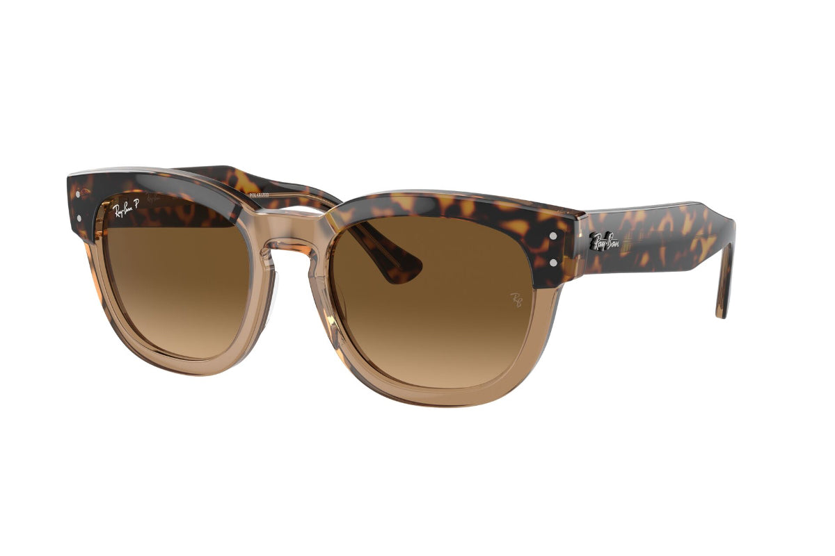 Ray-Ban Mega Hawkeye